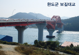 �ϵ��� ����뱳