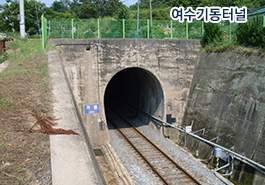 �����⵿�ͳ�